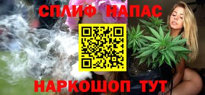 сатива Конаково