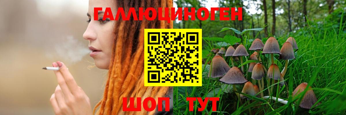 Котлас  Псилоцибиновые грибы MAGIC MUSHROOMS  Вход с VPN  где можно купить наркотик  Псилоцибиновые грибы прущие грибы 